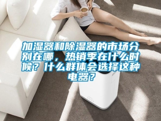 行業新聞加濕器和除濕器的市場分別在哪，熱銷季在什么時候？什么群體會選擇這種電器？