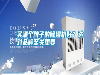 行業(yè)新聞買哪個(gè)牌子的除濕機(jī)好？選對(duì)品牌至關(guān)重要