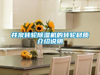 常見問題井泉轉輪除濕機的轉輪材質介紹說明