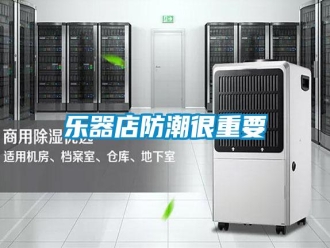 行業(yè)新聞樂(lè)器店防潮很重要