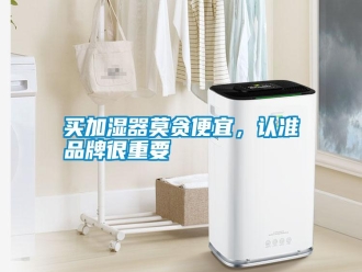 行業(yè)新聞買加濕器莫貪便宜，認(rèn)準(zhǔn)品牌很重要
