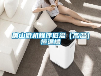 知識百科唐山微機程序低溫（高溫）恒溫槽