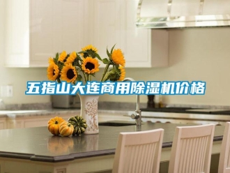 常見問題五指山大連商用除濕機價格