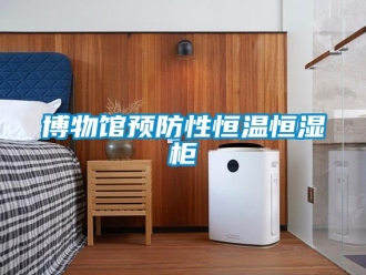 知識百科博物館預防性恒溫恒濕柜