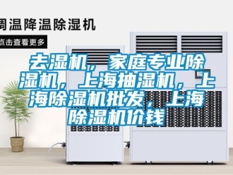 行業(yè)新聞去濕機，家庭專業(yè)除濕機，上海抽濕機，上海除濕機批發(fā)，上海除濕機價錢