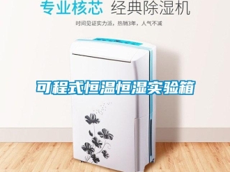 知識百科可程式恒溫恒濕實驗箱