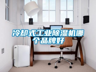 常見問題冷卻式工業(yè)除濕機哪個品牌好