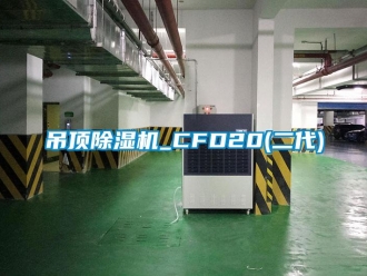 行業新聞吊頂除濕機_CFD20(二代)