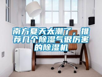 行業新聞南方夏天太潮了，推薦幾個除濕氣很厲害的除濕機