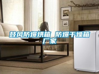 企業新聞鼓風防爆烘箱 防爆干燥箱廠家