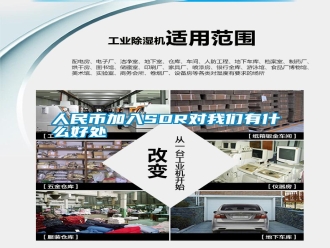 行業(yè)新聞人民幣加入SDR對(duì)我們有什么好處