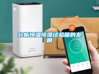 知識百科分析恒溫恒濕試驗箱的發展