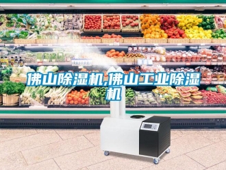 常見(jiàn)問(wèn)題佛山除濕機(jī),佛山工業(yè)除濕機(jī)