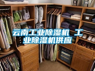 常見問題云南工業除濕機 工業除濕機供應