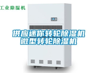 常見問題供應迷你轉(zhuǎn)輪除濕機微型轉(zhuǎn)輪除濕機