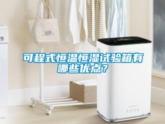 知識百科可程式恒溫恒濕試驗箱有哪些優點？