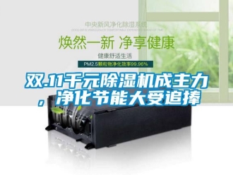 行業(yè)新聞雙.11千元除濕機成主力，凈化節(jié)能大受追捧