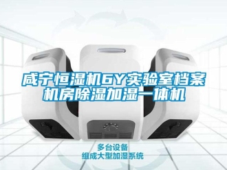 知識百科咸寧恒濕機6Y實驗室檔案機房除濕加濕一體機