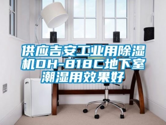 常見問題供應(yīng)吉安工業(yè)用除濕機(jī)DH-818C地下室潮濕用效果好