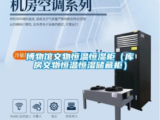 知識百科博物館文物恒溫恒濕柜（庫房文物恒溫恒濕儲藏柜）