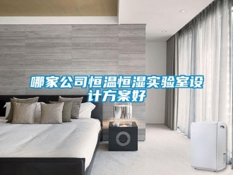 知識百科哪家公司恒溫恒濕實驗室設計方案好