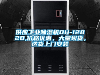 常見問題供應(yīng)工業(yè)除濕機(jī)DH-1282B,價格優(yōu)惠，大量現(xiàn)貨，送貨上門安裝