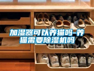 行業新聞加濕器可以養貓嗎-養貓需要除濕機嗎