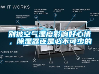 企業新聞別被空氣濕度影響好心情，除濕器還是必不可少的