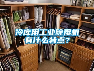 常見問題冷庫用工業(yè)除濕機有什么特點？