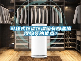 知識百科可程式恒溫恒濕箱有哪些值得購買的優點？