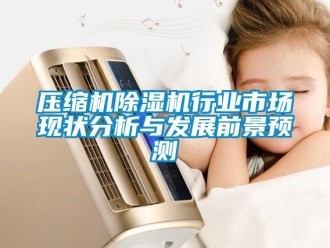 行業新聞壓縮機除濕機行業市場現狀分析與發展前景預測