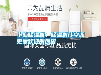知識(shí)百科上海除濕機(jī)：除濕機(jī)比空調(diào)更受歡迎的原因