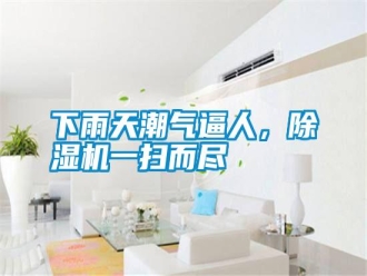 知識(shí)百科下雨天潮氣逼人，除濕機(jī)一掃而盡