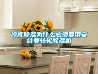 常見問題冷庫除濕為什么必須要用安詩曼轉(zhuǎn)輪除濕機