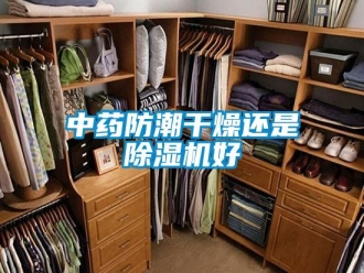 知識百科中藥防潮干燥還是除濕機好