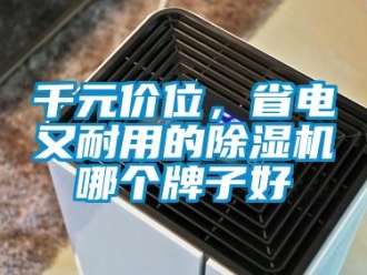 行業新聞千元價位，省電又耐用的除濕機哪個牌子好