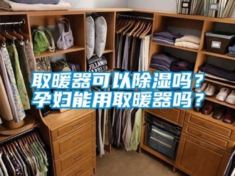 行業(yè)新聞取暖器可以除濕嗎？孕婦能用取暖器嗎？
