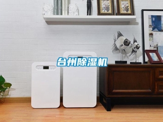 行業(yè)新聞臺(tái)州除濕機(jī)