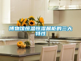 知識百科博物館恒溫恒濕展柜的三大特性