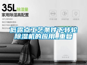 常見問題低露點工藝條件下轉輪除濕機的應用_重復