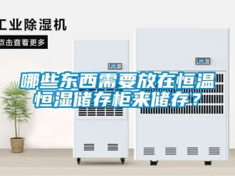 知識百科哪些東西需要放在恒溫恒濕儲存柜來儲存？