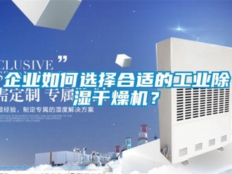 常見(jiàn)問(wèn)題企業(yè)如何選擇合適的工業(yè)除濕干燥機(jī)？