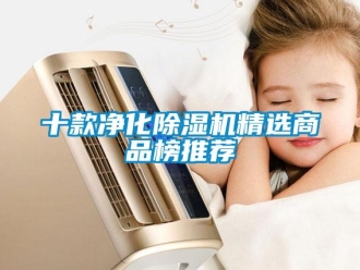 行業(yè)新聞十款凈化除濕機(jī)精選商品榜推薦