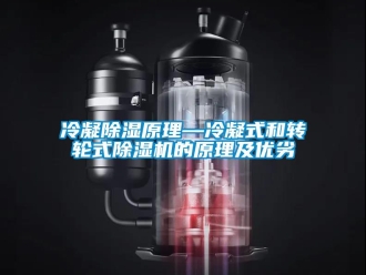 常見問題冷凝除濕原理—冷凝式和轉輪式除濕機的原理及優劣