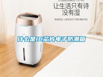 常見問題什么是IC芯片電子防潮箱