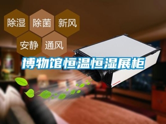 知識百科博物館恒溫恒濕展柜