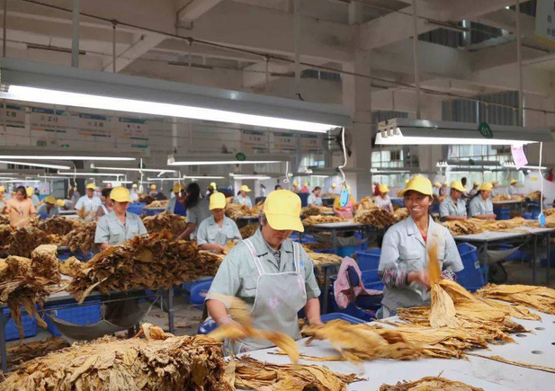 煙草行業加濕處理解決方案 煙草行業加濕處理解決方案